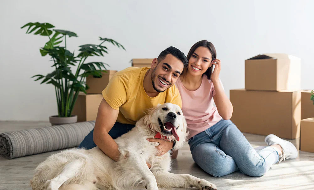 Moving To A New Home With Your Pet